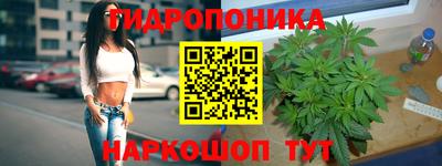 дмт Кимры