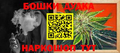 spice Кингисепп