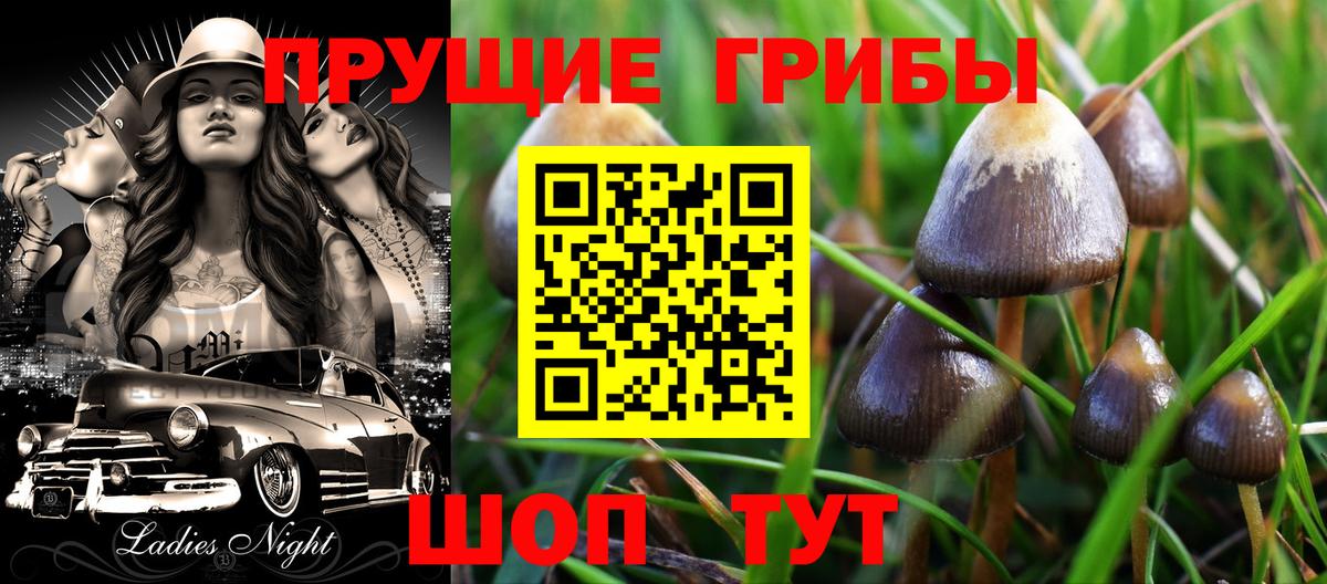 Галлюциногенные грибы прущие грибы  Вход с VPN  Курчалой  Галлюциногенные грибы прущие грибы 